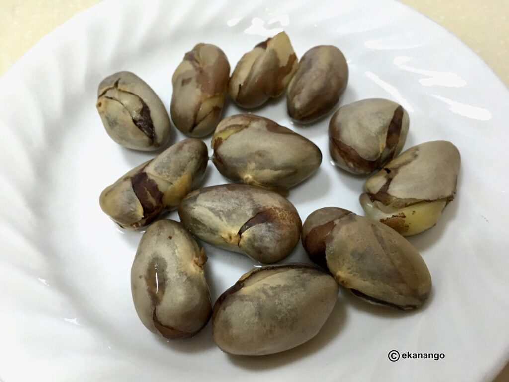ジャックフルーツの種 茹でるとホクホク 栗みたいで美味しい エカの南国主婦ライフ ジャックフルーツの種 茹でるとホクホク 栗みたいで美味しい エカの南国主婦ライフ